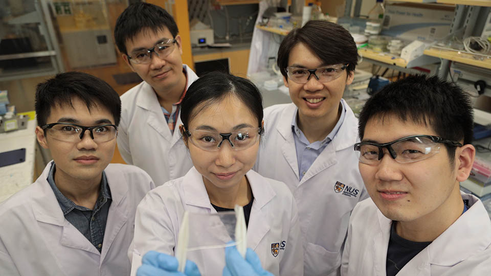 Asst Prof Tee (back row, right) and his team created a transparent electronic skin that repairs itself in both wet and dry conditions. Photo courtesy: NUS