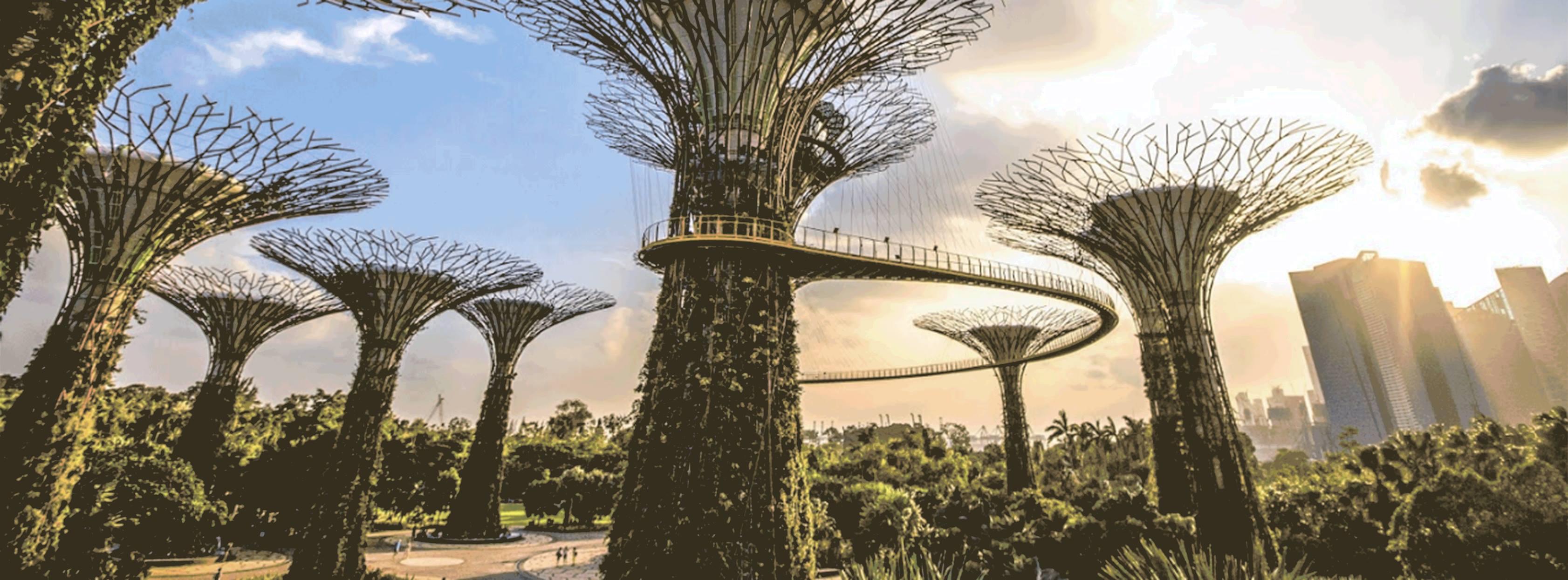Photo courtesy: Gardens by the Bay
