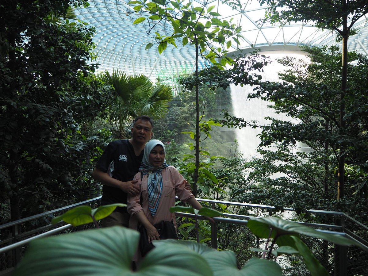   The building of Jewel harbours a lush green sanctuary that is the Shiseido Forest Valley. Photo courtesy: Twitter page of Changi Airport 