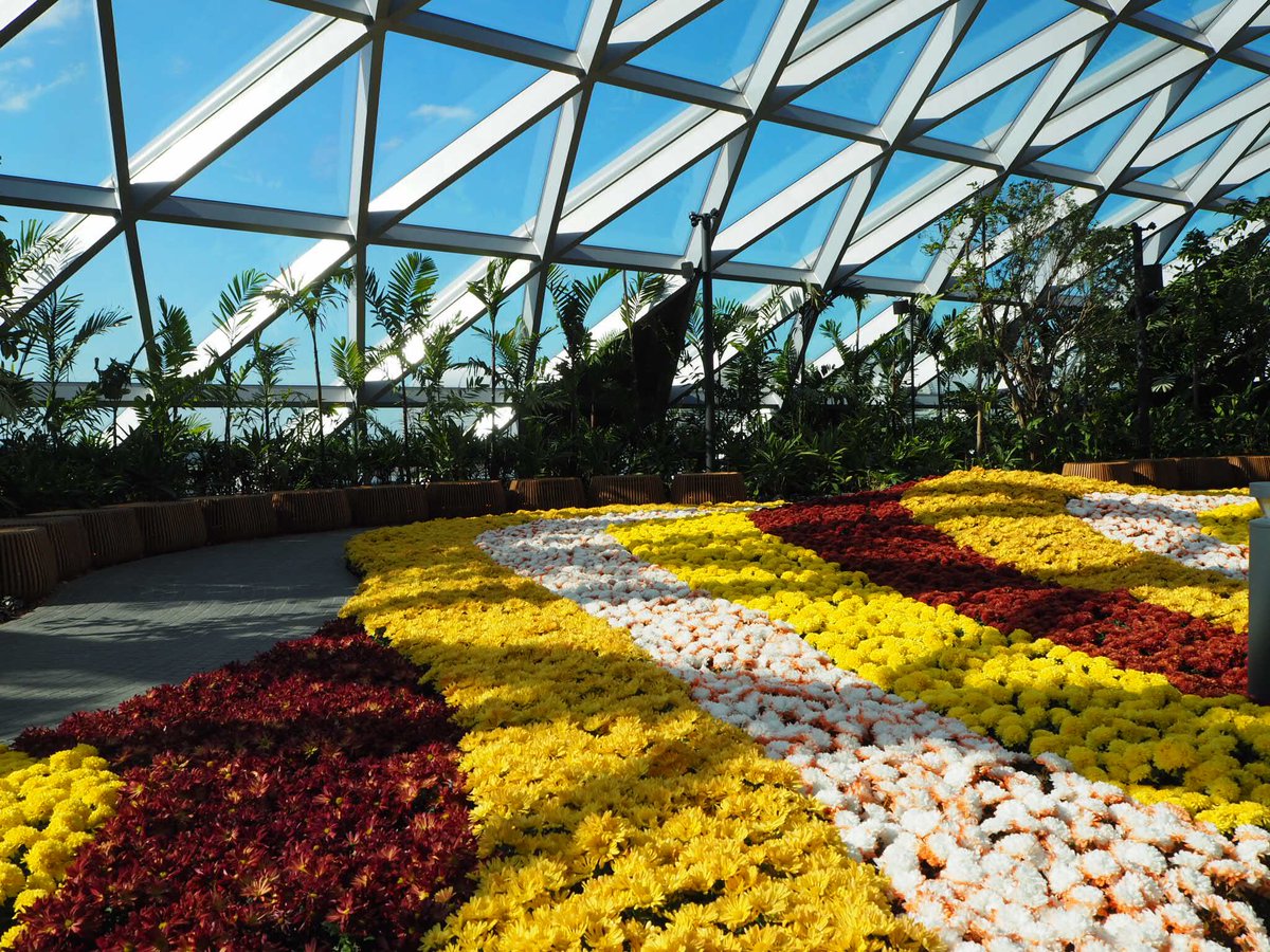   Canopy Park which is located at the top level features more gardens and leisure facilities. Photo courtesy: Twitter page of Changi Airport 
