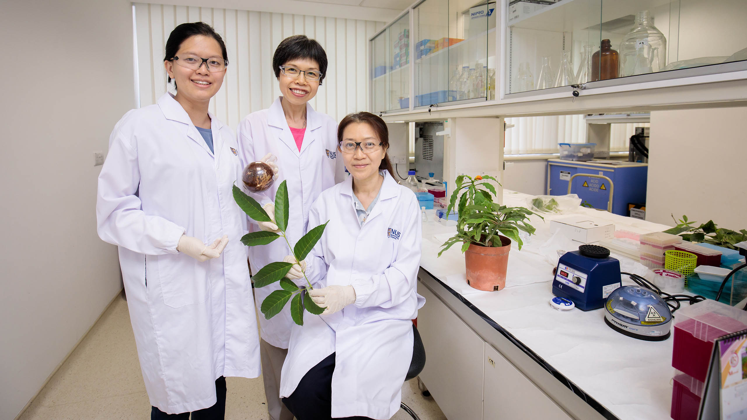 An NUS research team comprising Dr Siew Yin Yin (left), Dr Neo Soek Ying (centre) and Assoc Prof Koh Hwee Ling (right), uncovered anti-cancer properties in six tropical medical plants. Photo courtesy: NUS