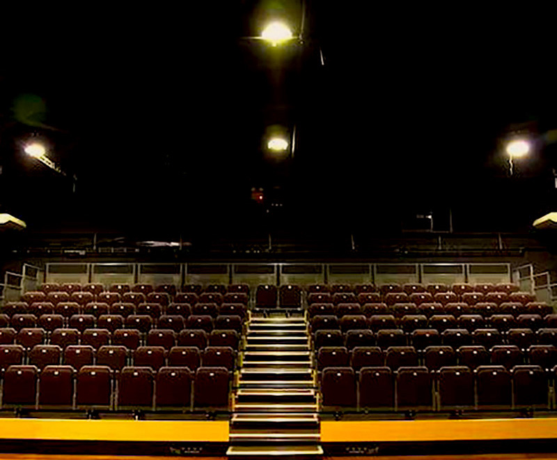 The performance in Hindi is scheduled for May 24-26, 2019 at the Goodman Arts Centre. Photo courtesy: Goodman Theatre