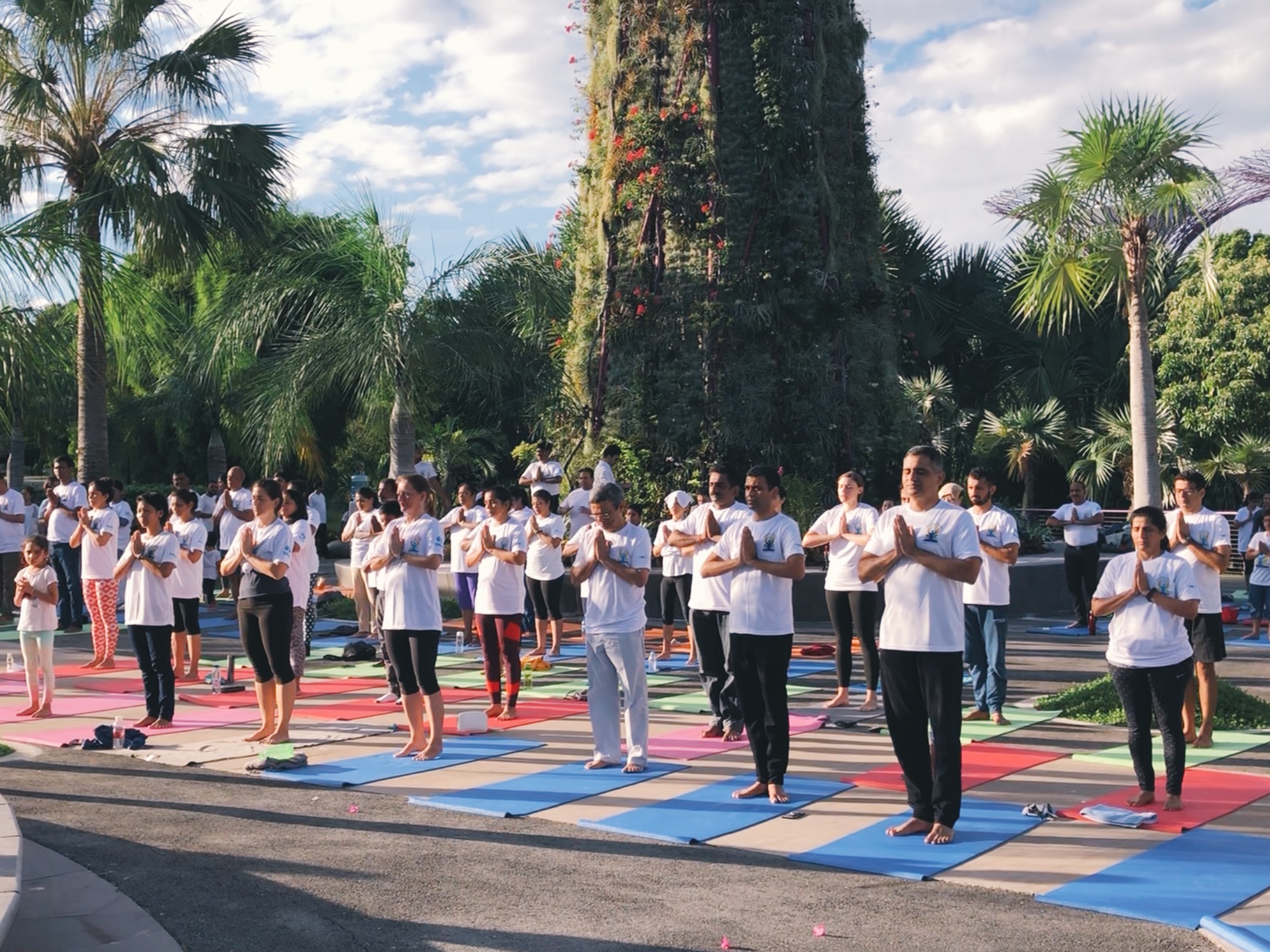The yoga session has begun. Photo: Connected to India