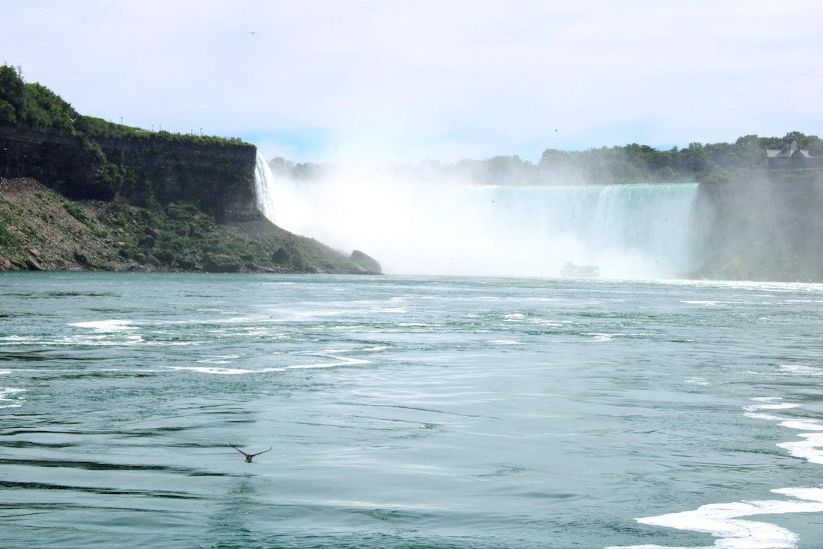 Seagulls flying through the Falls. Photo courtesy: Kaustubh Shankar