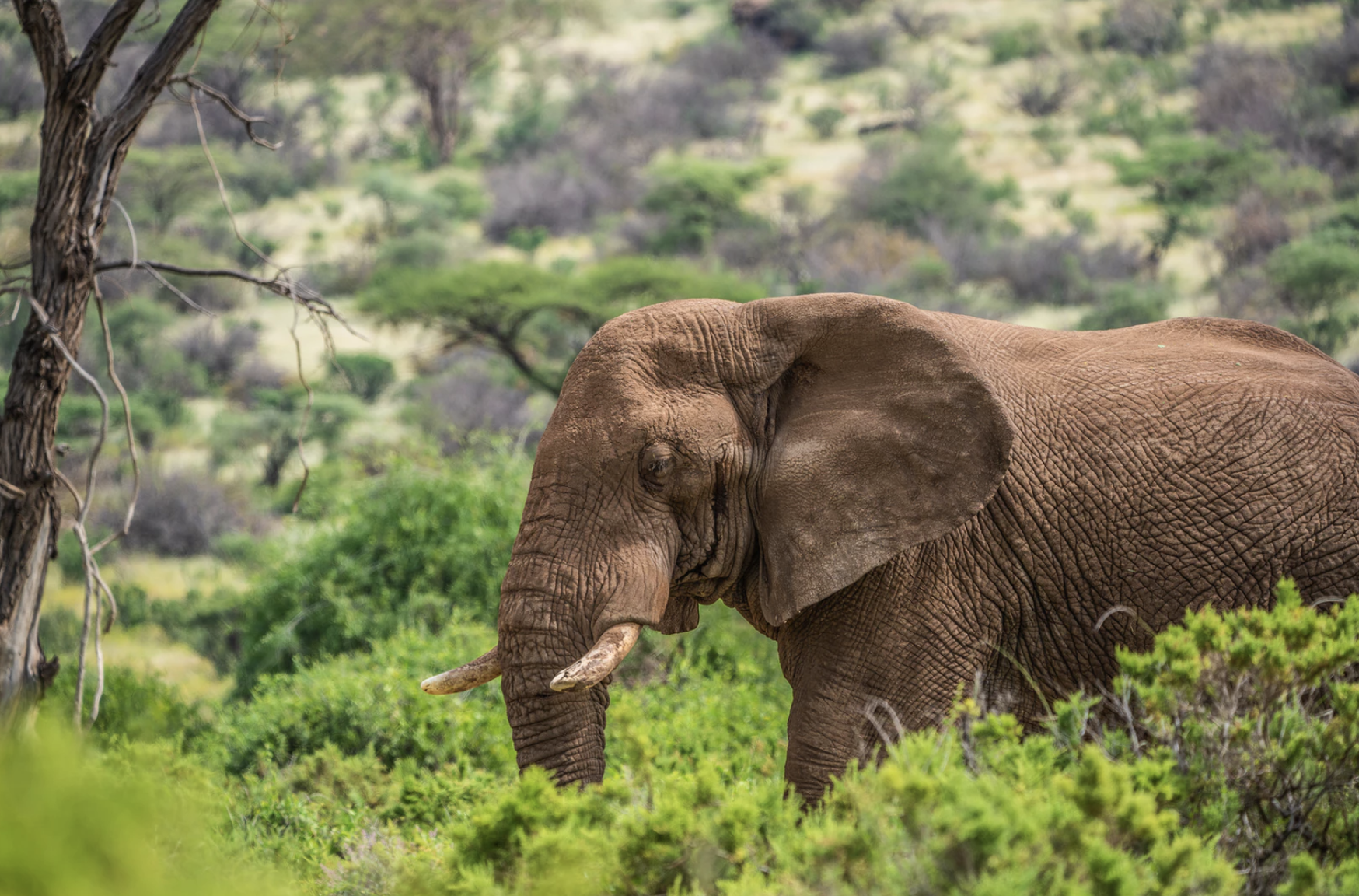 Photo courtesy: unsplash