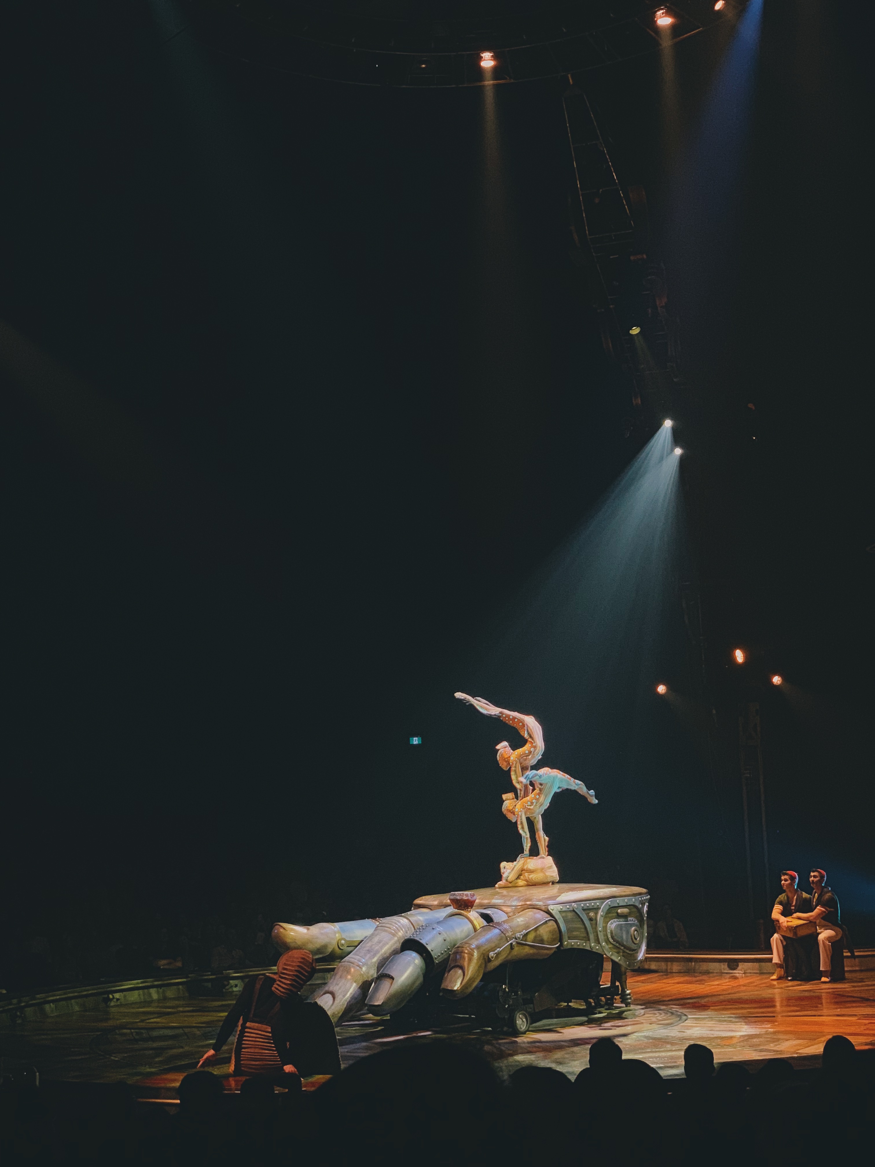 The contortionists' act was breathtaking. Photo: Connected to India