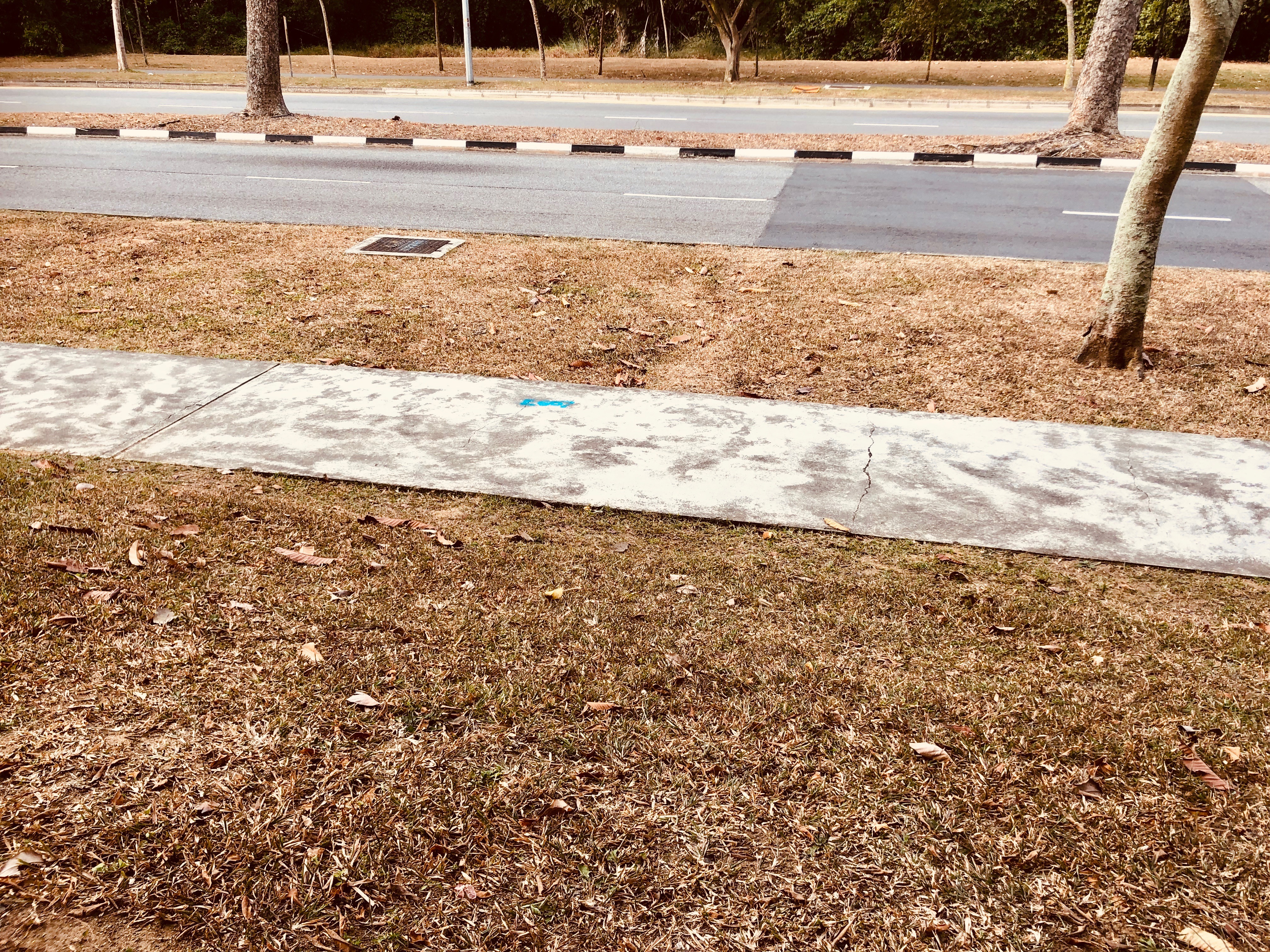 Singapore's dry spell is likely to persist for some months. Photo courtesy: Connected to India