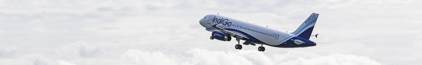 IndiGo used to operate daily Delhi-Singapore flights earlier, but decided to withdraw them during 2014-15 due to increasing competition from full-service carriers such as Jet Airways and Singapore Airlines.