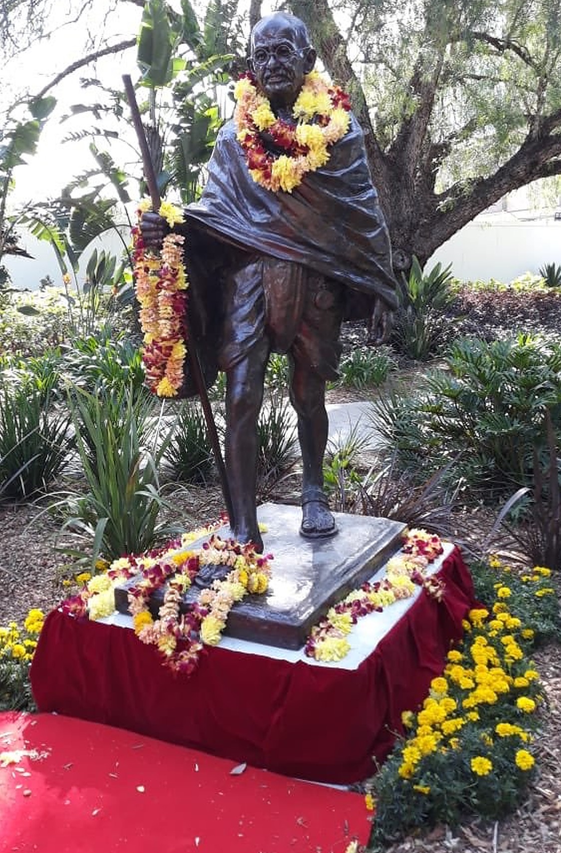 A statue of Mahatma Gandhi at Jubilee Park in the town of Parramatta, Sydney. Photo courtesy: Twitter/@rashtrapatibhvn