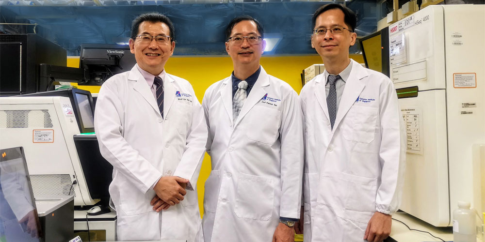 Three of the authors from the study published in Cell, from left: Prof Liu Jianjun (Deputy Executive Director of GIS, and Professor at Yong Loo Lin School of Medicine, NUS), Prof Patrick Tan (Executive Director of GIS, and Director of SingHealth Duke-NUS Institute of Precision Medicine, PRISM), and Prof Cheng Ching-Yu (Principal Clinician Scientist at the Singapore Eye Research Institute