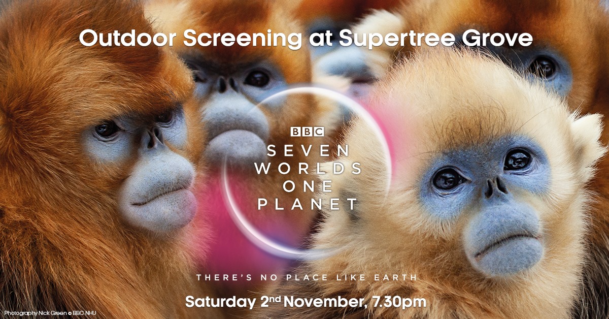 Photo courtesy: BBC Earth