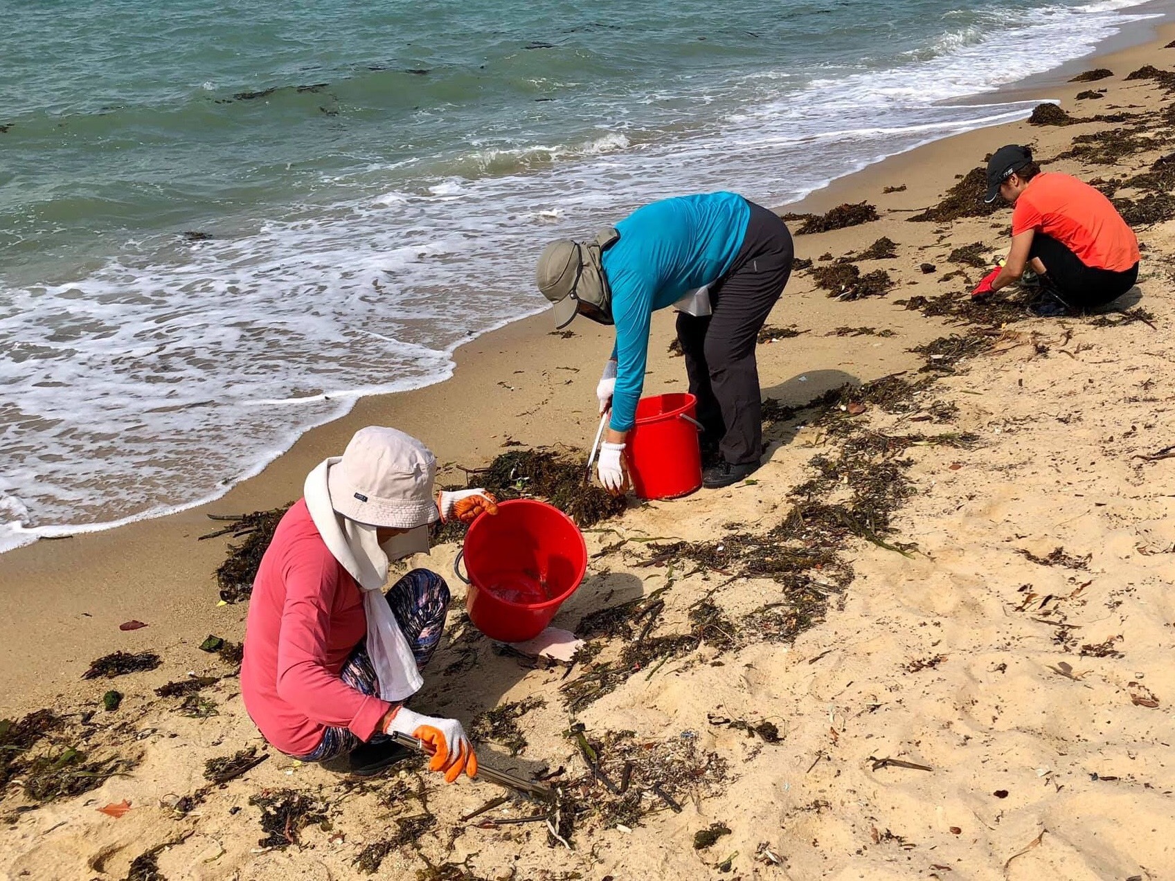 PHC encourages public to share photos of their CleanSG Day efforts on social media and hashtag #KeepSGClean  #NationalCleanSGDay Photo Courtesy: PHC FB