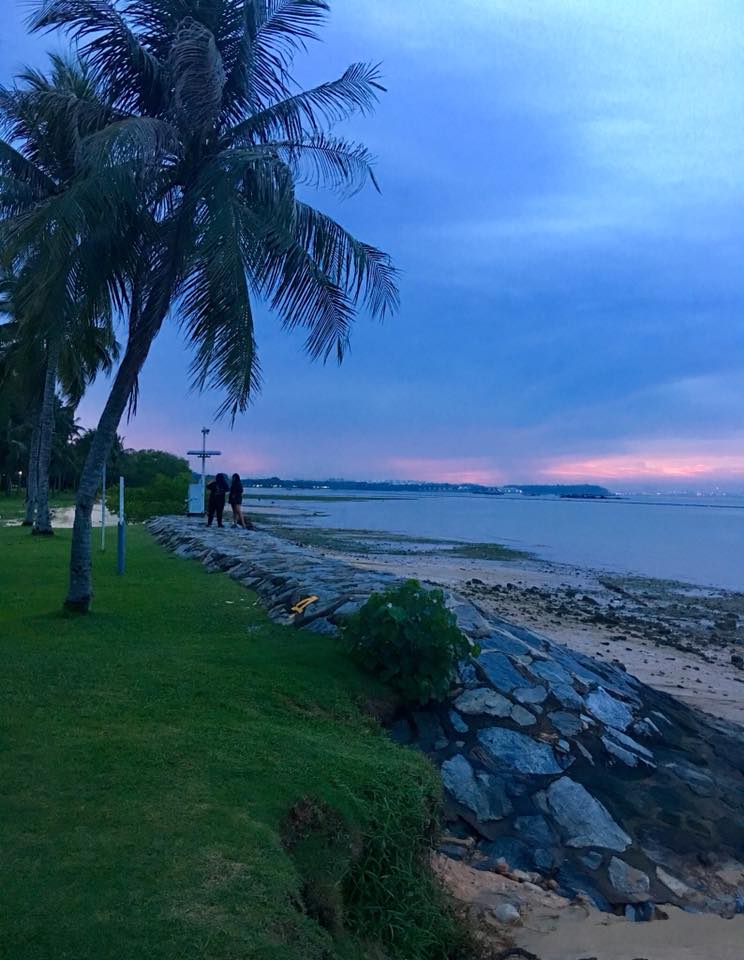 The event hopes to encourage residents to take personal responsibility for the cleanliness of not just their estates but also of public spaces such as parks and beaches. Photo: Connected to India