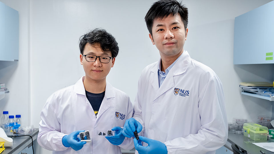 NUS Assistant Professor Chen Po-Yen (right) and doctoral student Yang Haitao (left) and their team created a new metallic material for soft and flexible robots. Photo courtesy: NUS