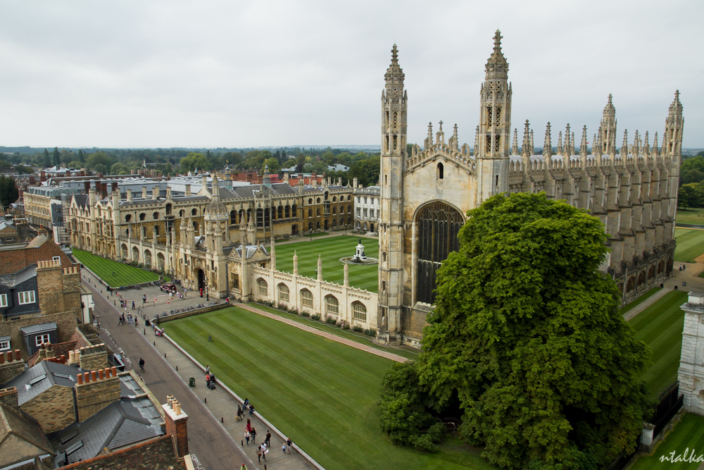 Over 1,400 walk-ins were recorded during the recent Study UK Fair in New Delhi, which gave students an opportunity to interact with representatives from over 50 UK universities
