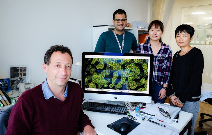 A group of scientists from NTU have found a potential new route to disabling viruses that cause severe and life-threatening respiratory diseases such as pneumonia and bronchiolitis. Photo courtesy: NTU