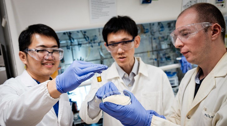 Chemists at NTU have discovered a method to turn plastic waste into valuable chemicals using sunlight. Photo courtesy: NTU