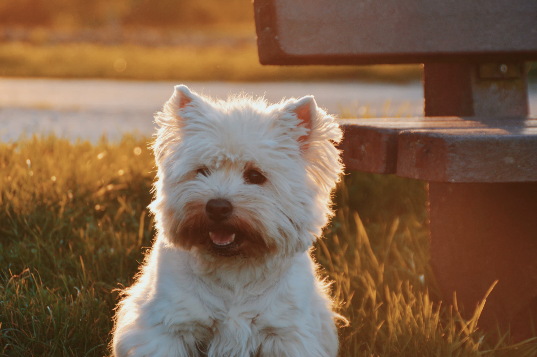 Photo courtesy: unsplash