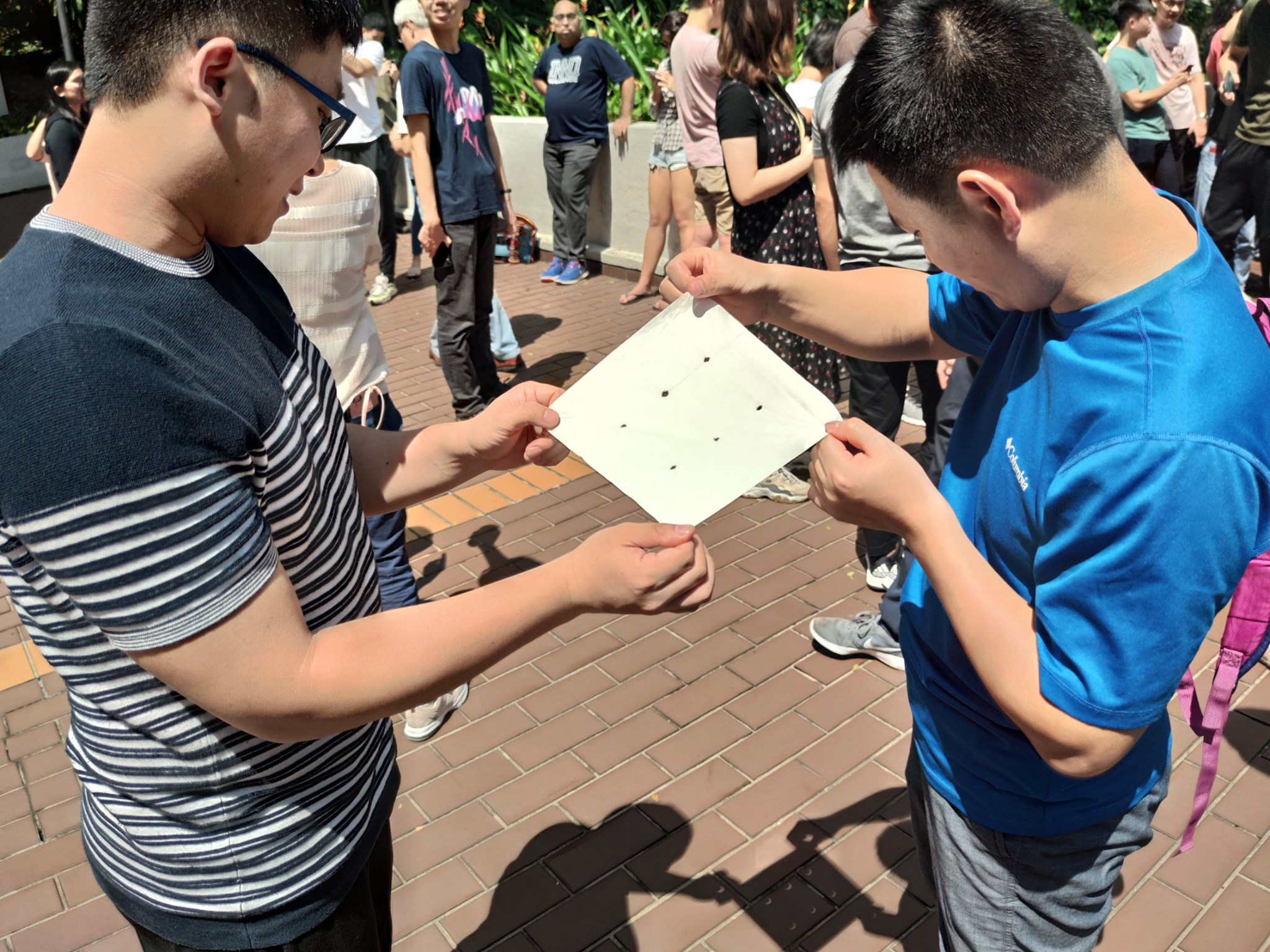 There are many creative ways to experience the solar eclipse! Photo courtesy: Nanyang Technological University (NTU)