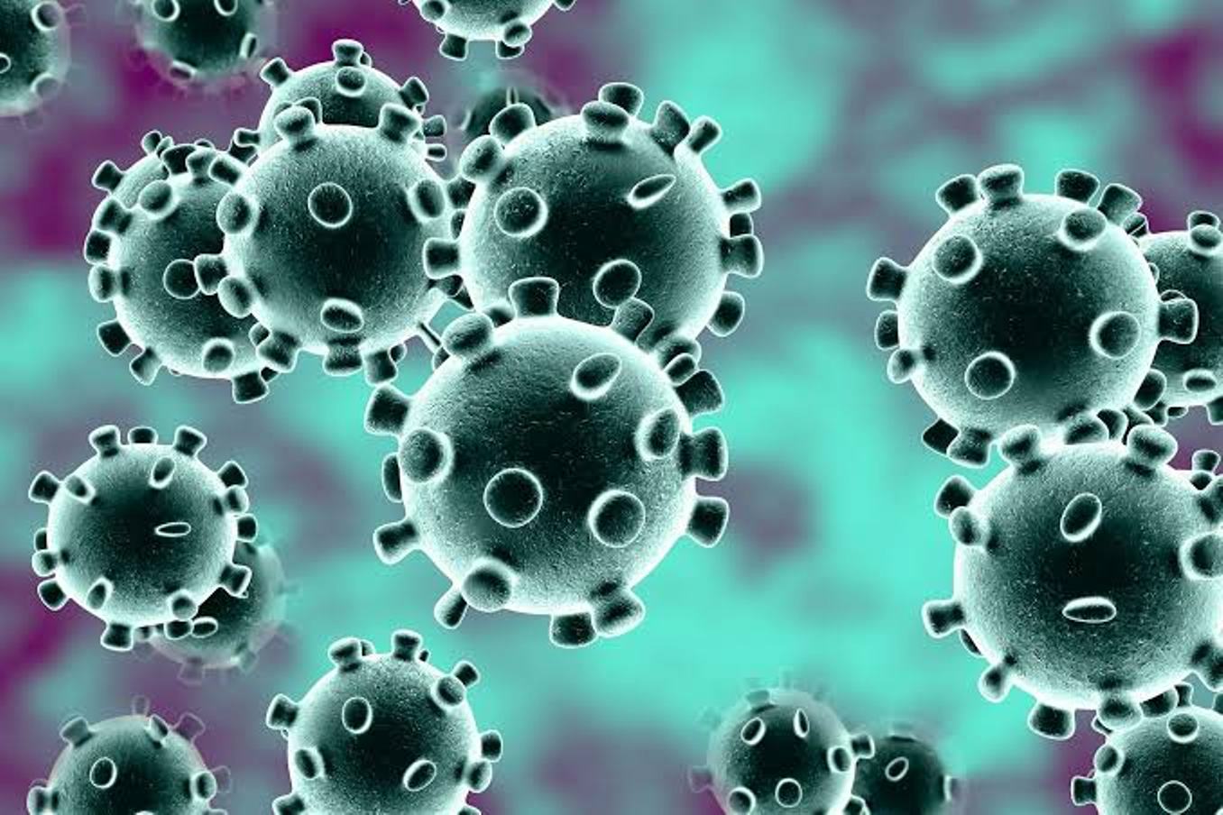 The Wuhan coronavirus has claimed over 100 lives in Mainland Chine. Photo courtesy: WebMD