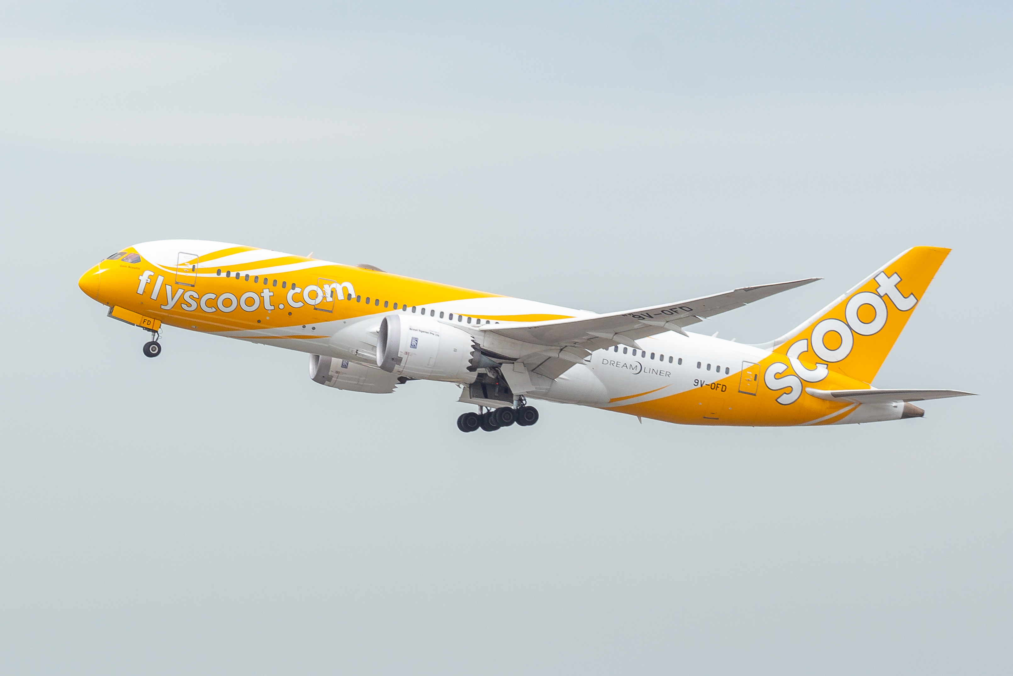 92 Singaporeans were brought back from Wuhan via a specially chartered Scoot flight. Photo courtesy: Wikimedia