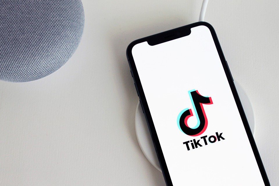 TikTok, which reported it had 120 million active Indian users per month in June 2019, indicated they would comply with the Indian government order. 