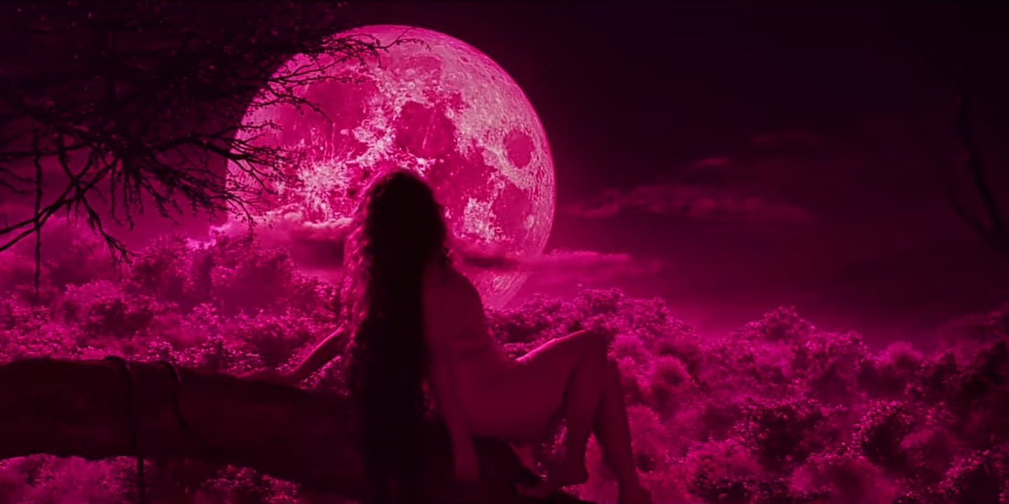 The heavy hand with a red filter in all the forest scenes is something cinematographer Siddharth Diwan could have avoided. Photo Courtesy: Netflix/ Twitter