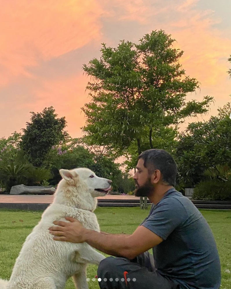 Photo Courtesy : Sakshi Singh Dhoni/Instagram 