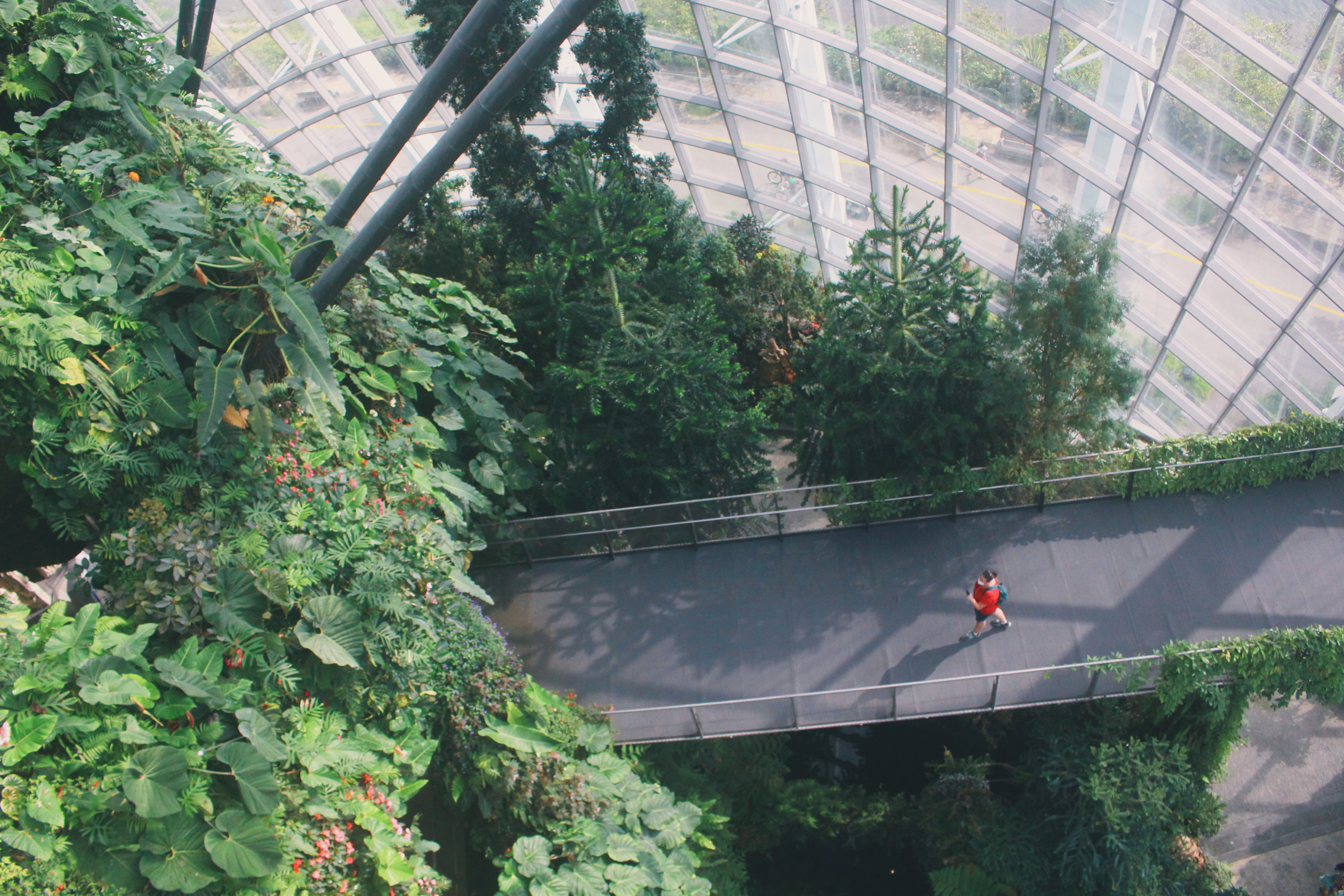 There are nine different mist-filled levels you can explore. Photo: Connected to India