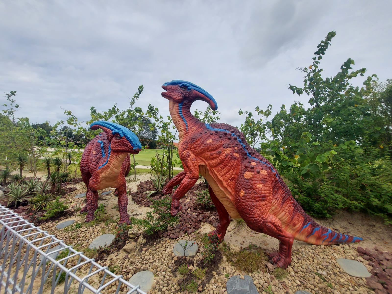 Such vibrant colour markings! Photo: Connected to India