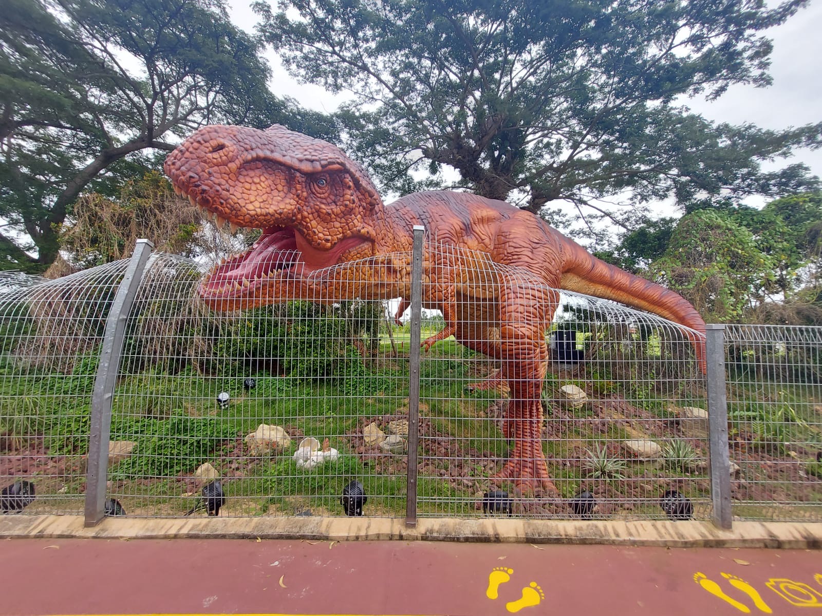 Remember to snap a selfie with the T-Rex. Photo: Connected to India