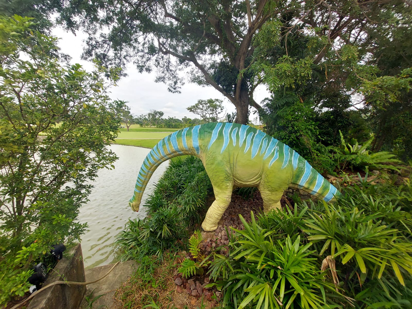 Brachiosaurus enjoying a drink. Photo: Connected to India