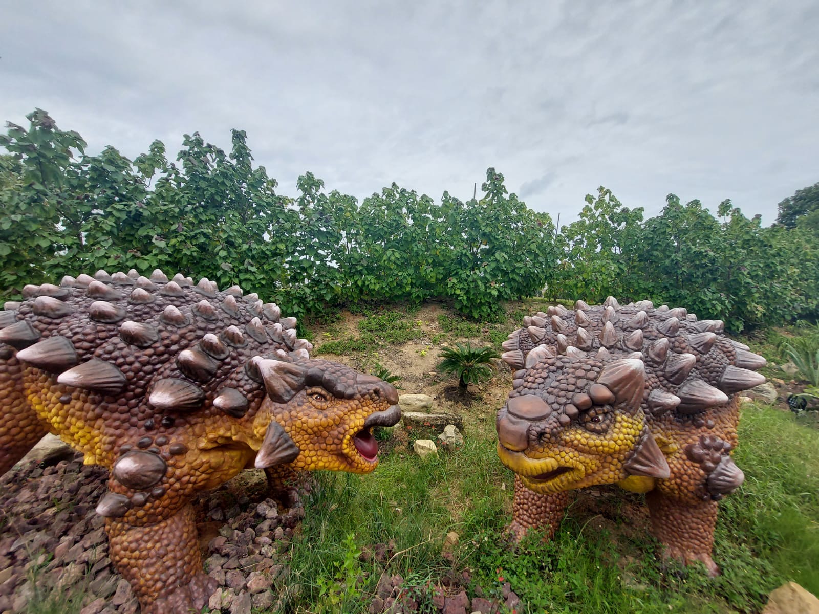 Stegosaurus looking magnificent. Photo: Connected to India