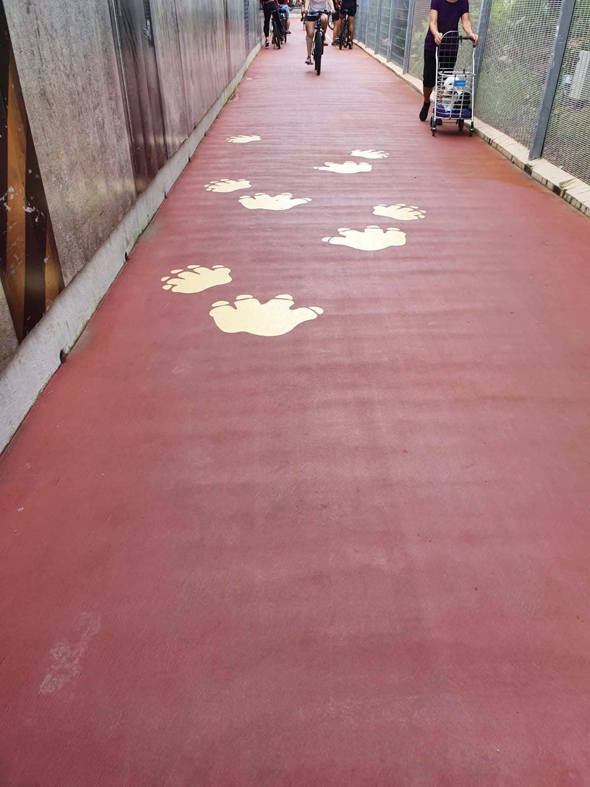 Follow the footprints. Photo: Connected to India