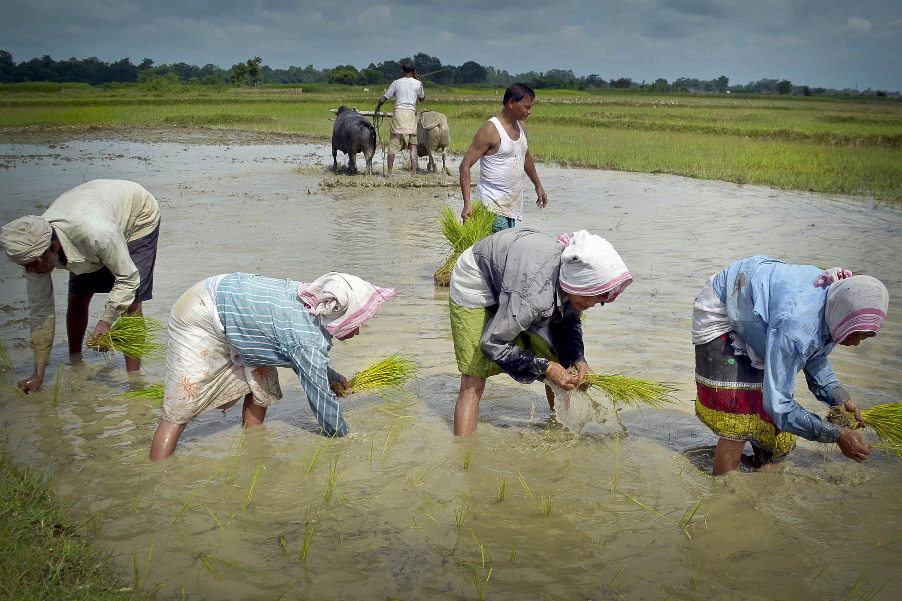 Over the next decade, the number of people affected by severe water shortages is expected to increase fourfold.