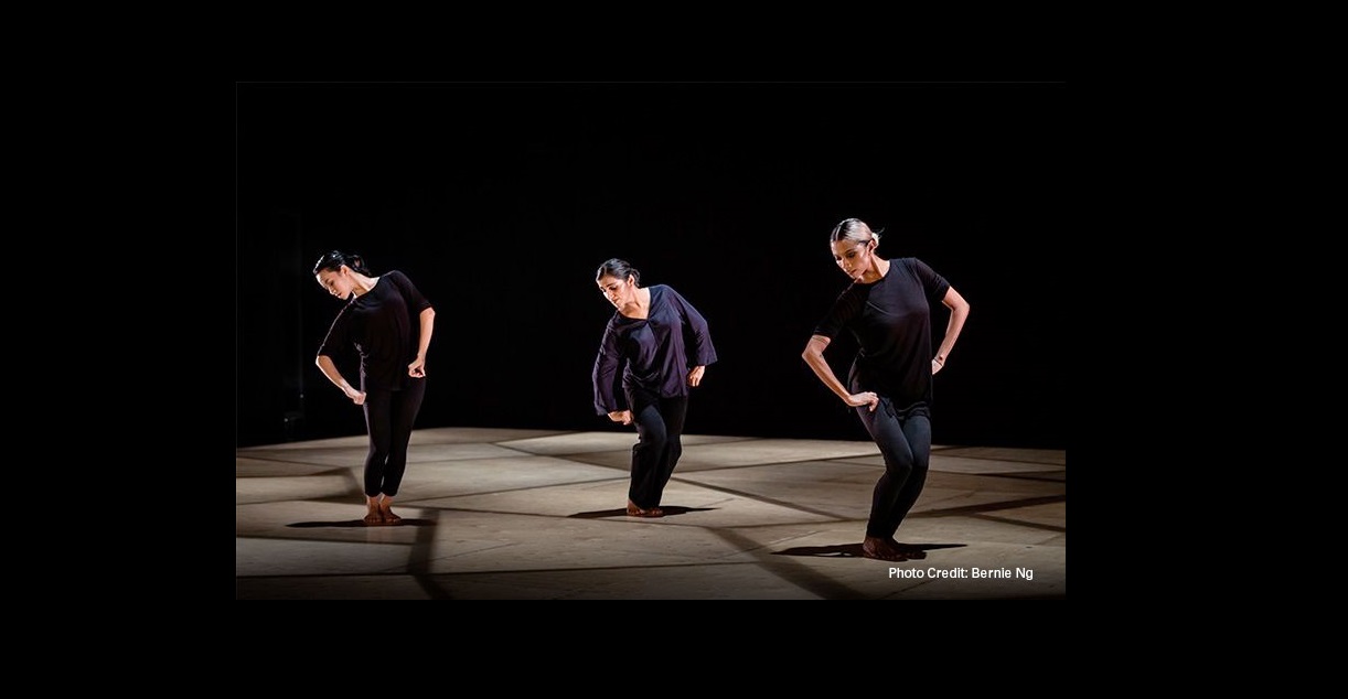 Pallavi through Abstractions - A digital premiere by Singaporean contemporary Indian dance company, Chowk. Photo Courtesy: Kalaa Utsavam