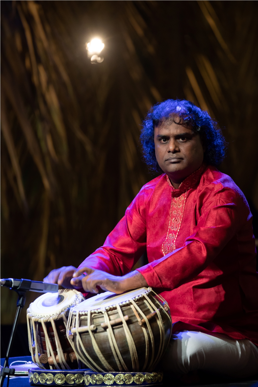 The instrumental pieces of Sukha aspire to evoke joy and bliss. Photo courtesy: Esplanade