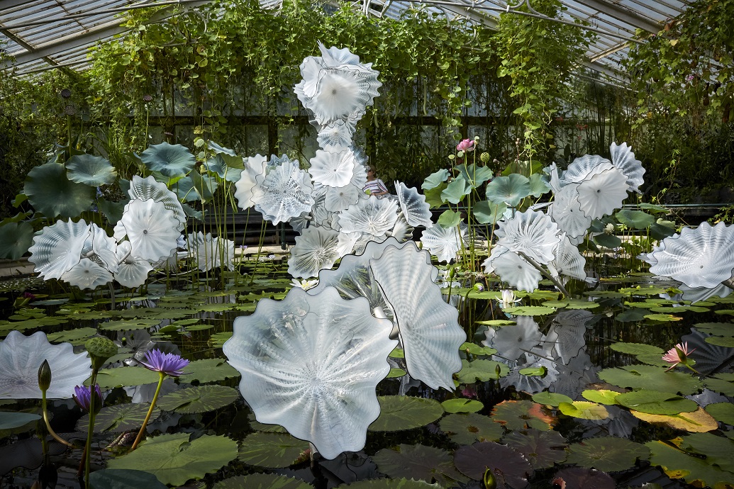 Dale Chihuly Ethereal White Persian Pond (detail), 2018 Royal Botanic Gardens, Kew, London, installed 2019 © Chihuly Studio. All Rights Reserved. 