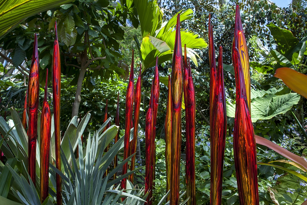 Dale Chihuly Silvered Red Bamboo (detail), 2014 Denver Botanic Gardens © Chihuly Studio. All Rights Reserved.