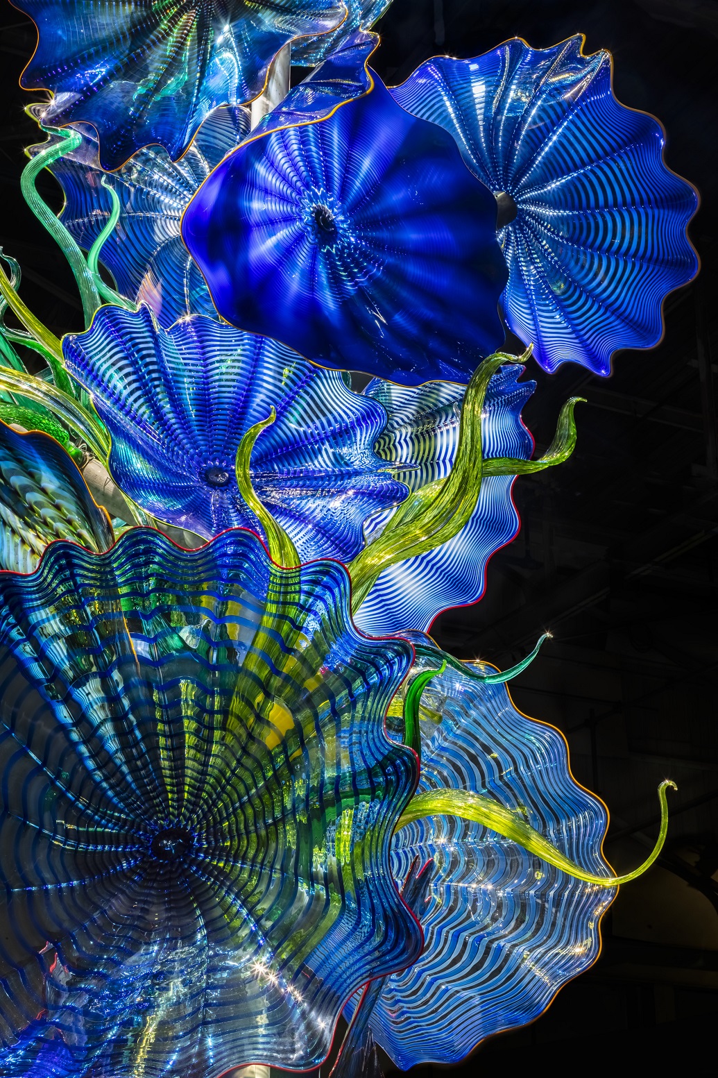 Dale Chihuly Temperate House Persians, 2018 Royal Botanic Gardens, Kew, London, installed 2019 © Chihuly Studio. All Rights Reserved.