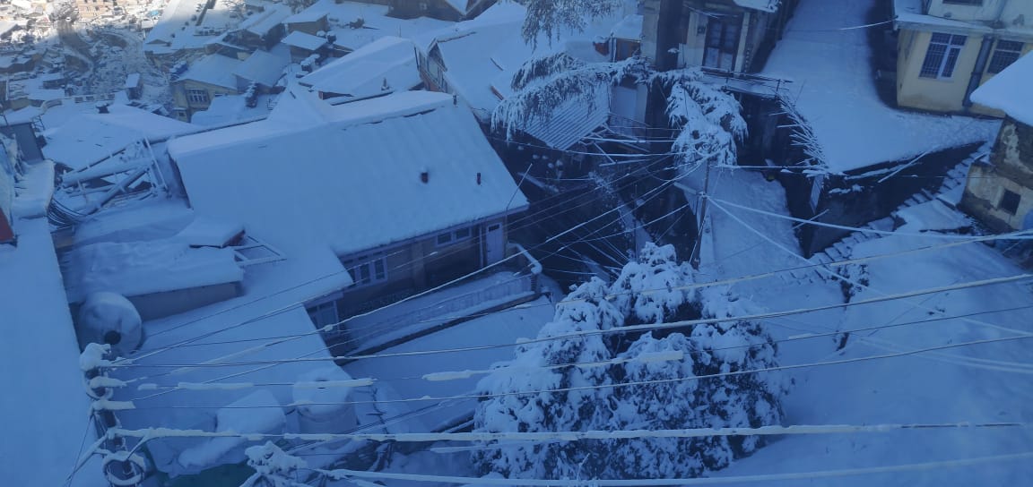 Shimla