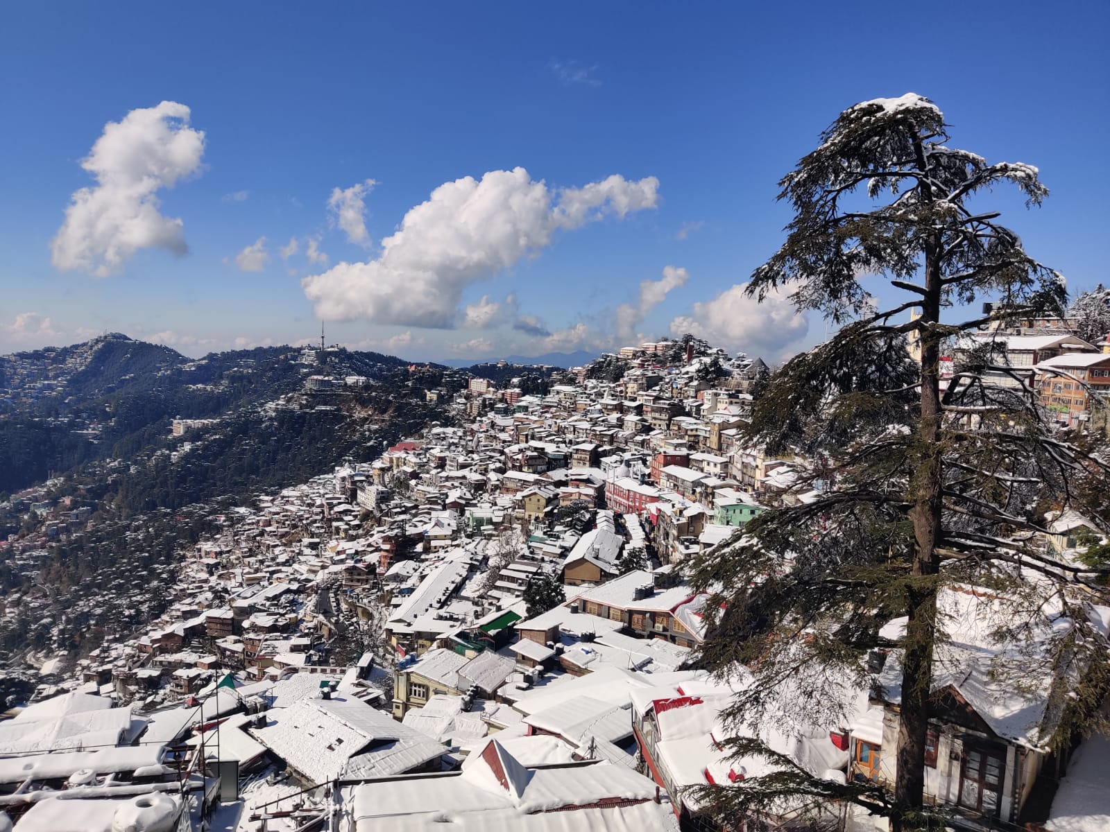 Shimla