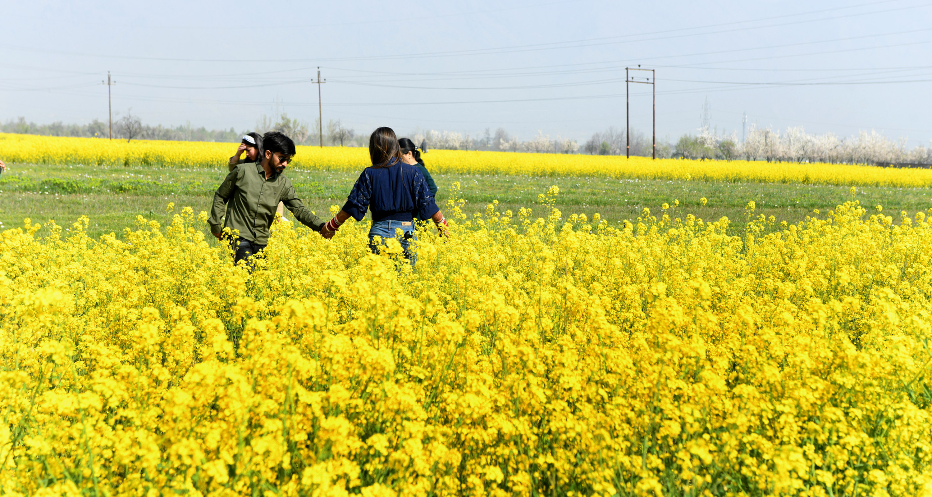 Kashmir valley