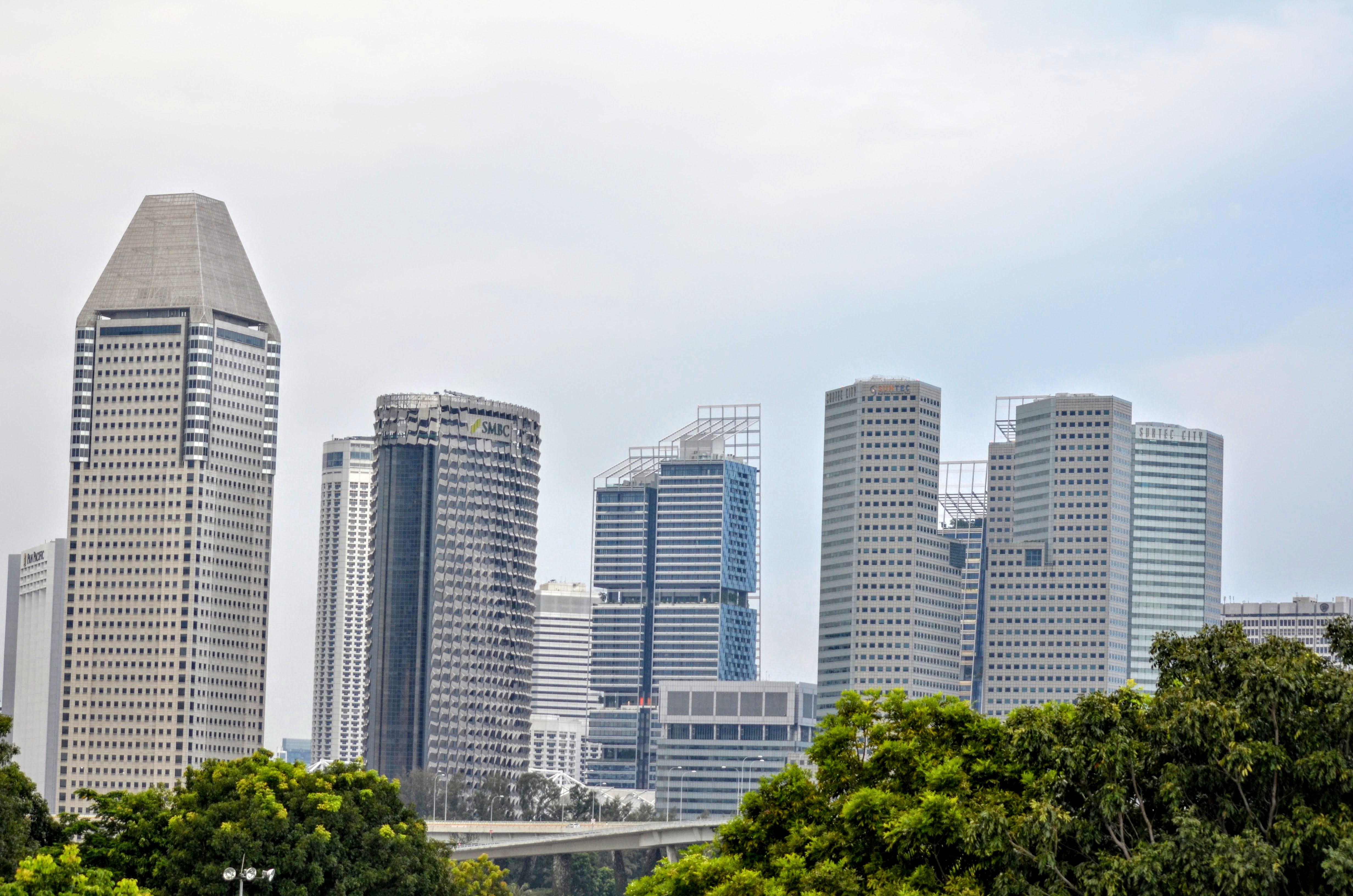 Based on data from the Singapore Tourism Board (STB) till November, these four countries together account for almost half (48 per cent) of the total arrivals to the small island state.