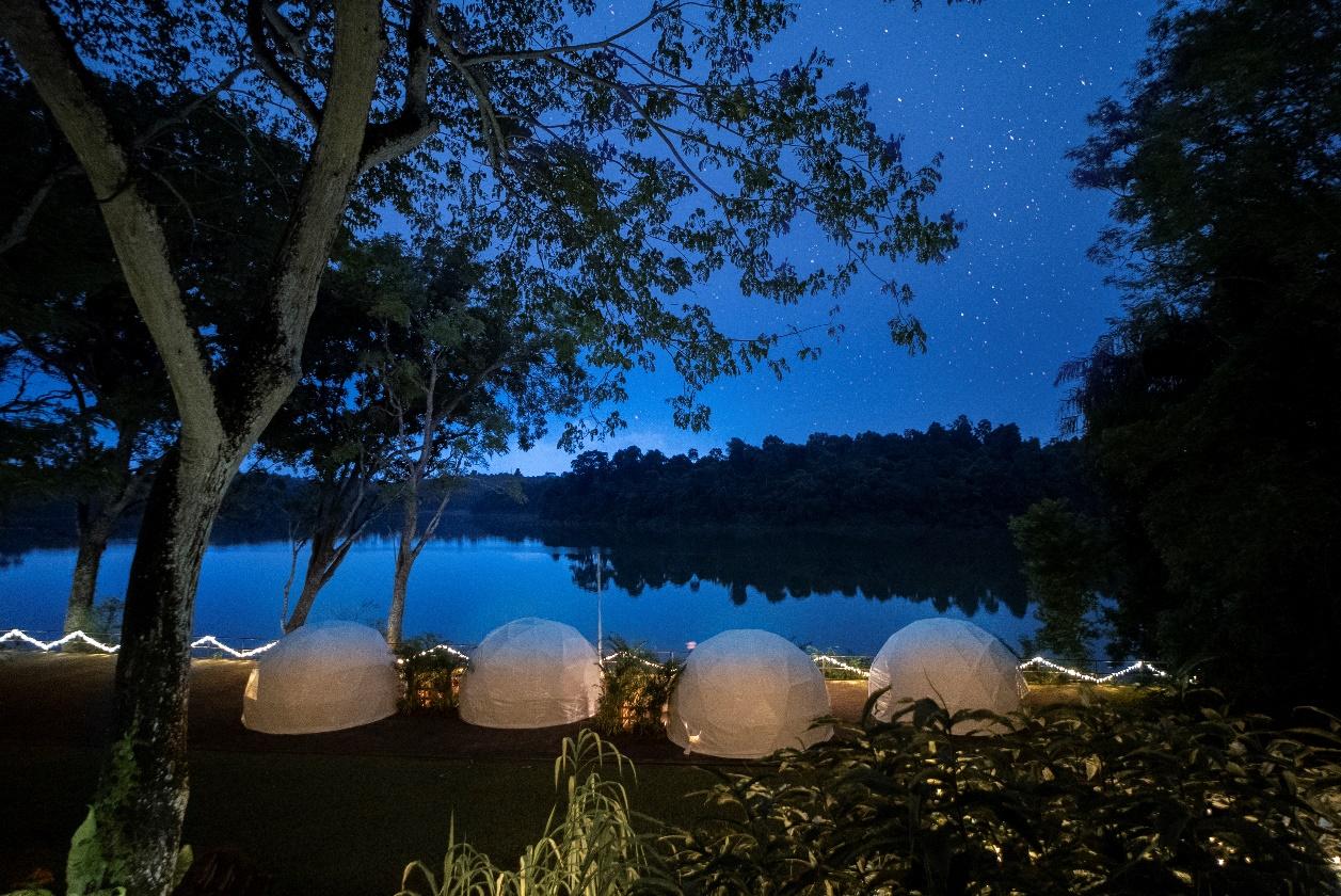 Unwind and drift to sleep in a luxurious air-conditioned dome glamping tent along the shores of   the tranquil Upper Seletar Reservoir at Singapore Zoo’s Pavilion by the Lake.