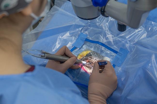 A King Penguin undergoing cataract surgery at The Eye Specialist for Animals.