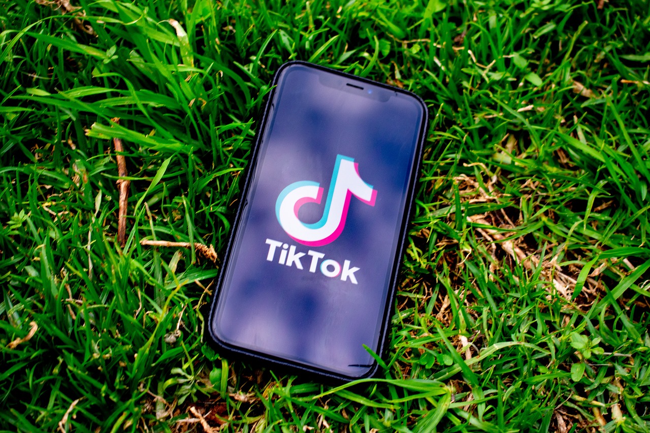 In the UK, Information Commissioner Edwards said that TikTok needed to do a lot more to filter out under-13s trying to register themselves on the app.