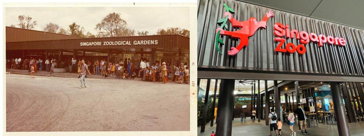 The entrance of Singapore Zoo in its early years and now. The wildlife park has welcomed close to 60 million visitors over the last 50 years.
