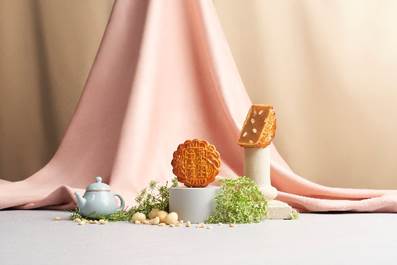 Pine Nuts with Macadamia Nuts and White Lotus Paste Mooncake