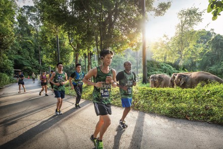 Lace up your running shoes and be part of the 5km Competitive Challenge run that combines the thrill of competition with the wonders of nature.